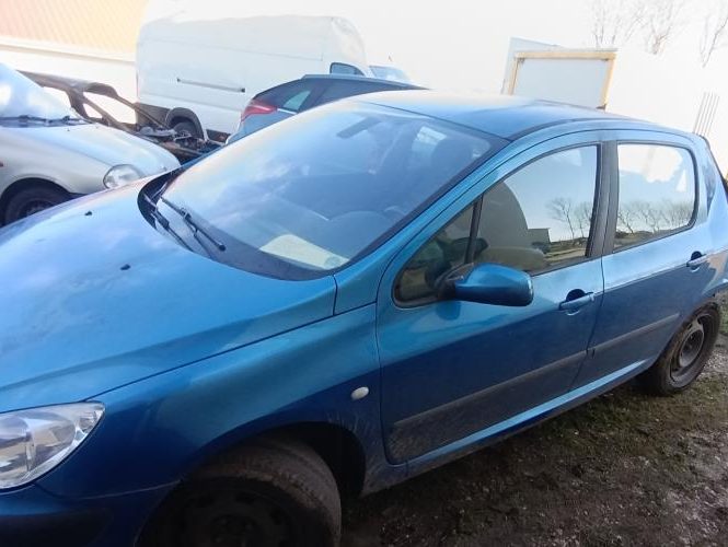 PEUGEOT 307 PHASE 1