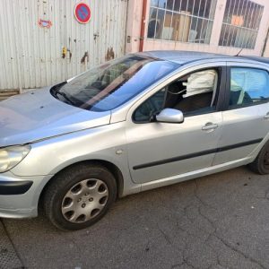 PEUGEOT 307 PHASE 1