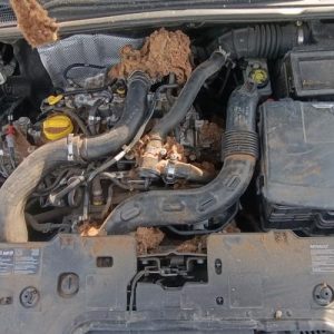 RENAULT CLIO 4 PHASE 1
