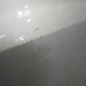 RENAULT CLIO 3 PHASE 2