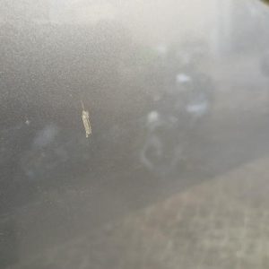 RENAULT MEGANE 3 PHASE 1