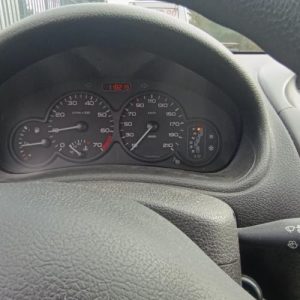 PEUGEOT 206 PHASE 2