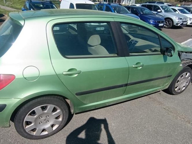 PEUGEOT 307 PHASE 1