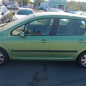 PEUGEOT 307 PHASE 1