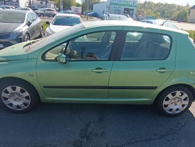 PEUGEOT 307 PHASE 1