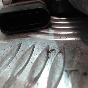 FORD FOCUS 3 PHASE 1