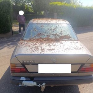 MERCEDES 300 W124 PHASE 1