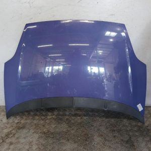 FIAT PUNTO EVO 3