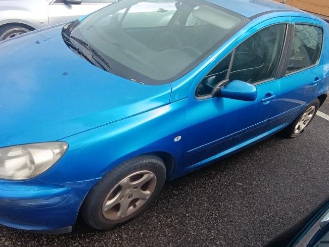 PEUGEOT 307 PHASE 1
