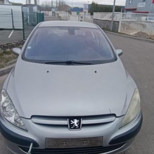 PEUGEOT 307 PHASE 1