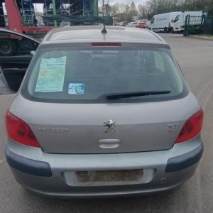 PEUGEOT 307 PHASE 1