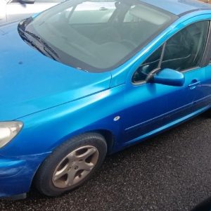 PEUGEOT 307 PHASE 1