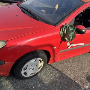 PEUGEOT 206 PHASE 1
