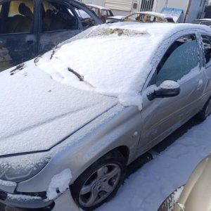 PEUGEOT 206 PHASE 1