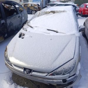 PEUGEOT 206 PHASE 1
