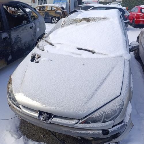 PEUGEOT 206 PHASE 1