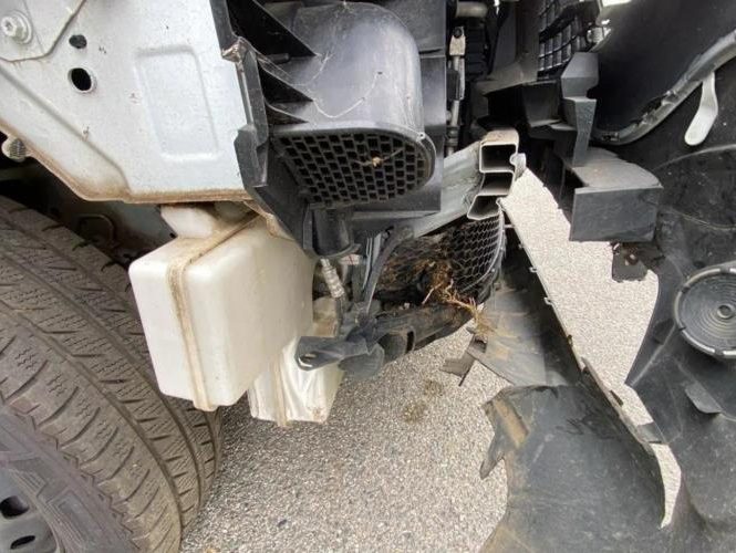 RENAULT TRAFIC 3 COURT PHASE 2